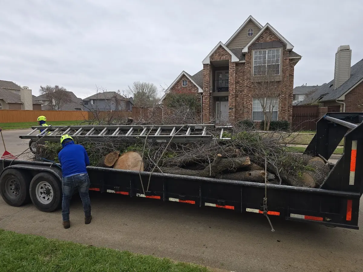 Expert Tree Removal with proper safety equipment in Lenox